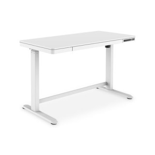 Electric height-adjustable Desk, 120x60x12cm top50kg load, USB-charging ports, white