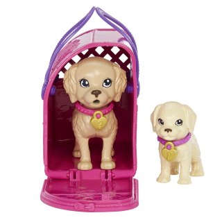 Barbie Adopcja piesków Zestaw + lalka HKD86