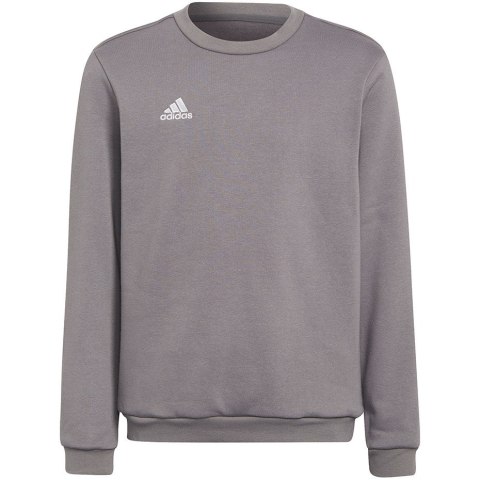 Bluza dla dzieci Adidas Entrada 22 Sweat Top szara H57477 116cm