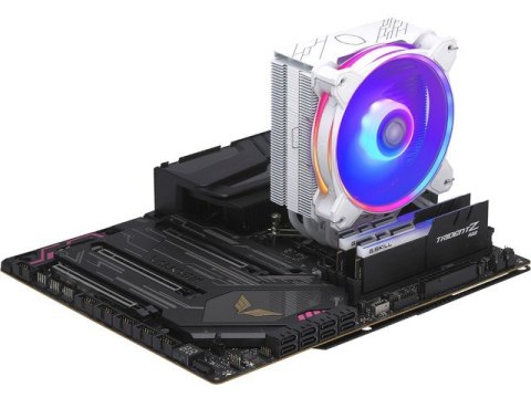 COOLER MASTER CHŁODZENIE CPU HYPER 212 HALO ARGB BIAŁE LGA1700 & AM5 RR-S4WW-20PA-R1