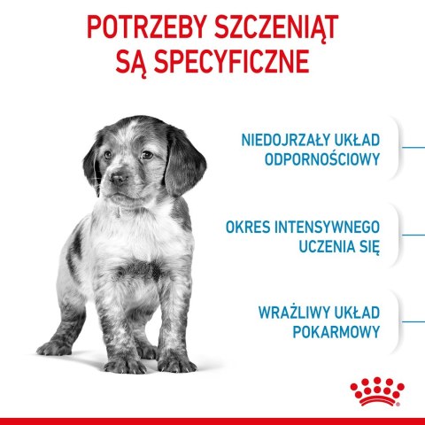 ROYAL CANIN SHN Medium Puppy - sucha karma dla szczeniąt - 4kg