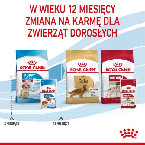 ROYAL CANIN SHN Medium Puppy w sosie - mokra karma dla szczeniąt - 10X140g