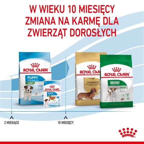 ROYAL CANIN Puppy Mini SHN - sucha karma dla szczeniąt - 4 kg