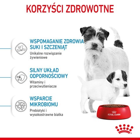 ROYAL CANIN Starter Mini Mother & Babydog - sucha karma dla szczeniąt i suk w ciąży oraz okresie laktacji - 1 kg