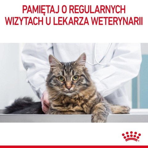 ROYAL CANIN FHN Kitten Instinctive w sosie - mokra karma dla kociąt - 12x85g