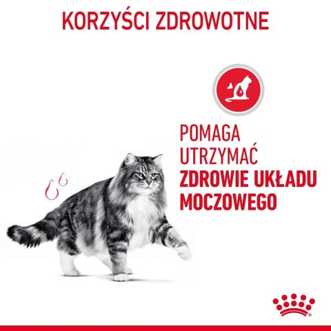 Karma Royal Canin FCN Urinary Care (2 kg )