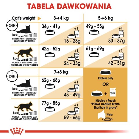 ROYAL CANIN FBN British Shorthair Adult - sucha karma dla dorosłego kota - 4kg