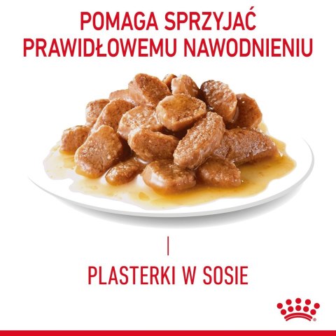 ROYAL CANIN FCN Urinary Care w sosie - mokra karma dla kota dorosłego - 12x85g