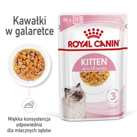 ROYAL CANIN FHN Kitten Instinctive w sosie - mokra karma dla kociąt - 12x85g