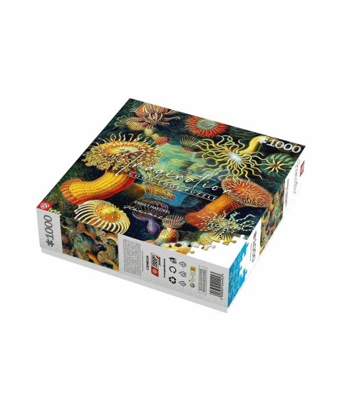 Puzzle Good Loot 1000 Imagination Ernst Haeckel Stworzenia Morskie