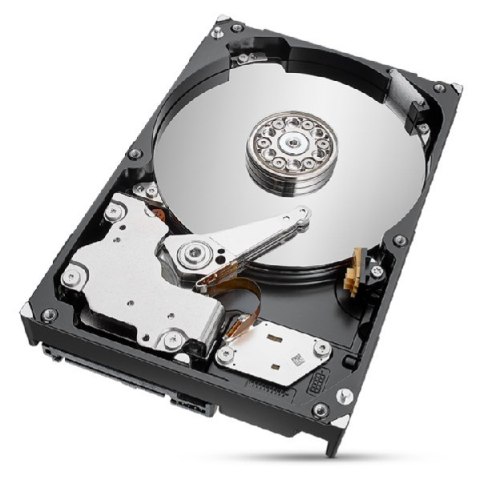 Dysk HDD Seagate IronWolf Pro (2 TB; 256MB; 3.5"; SATA)