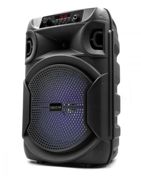 Głośnik Bluetooth 5.3 EDR PulseTower 1000W Funkcja Karaoke SQ1006