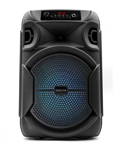 Głośnik Bluetooth 5.3 EDR PulseTower 1000W Funkcja Karaoke SQ1006