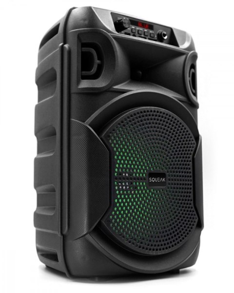 Głośnik Bluetooth 5.3 EDR PulseTower 1000W Funkcja Karaoke SQ1006