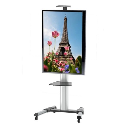 TECHLY MOBILNY STOJAK TV LED/LCD 37-70 CALI 50KG Z