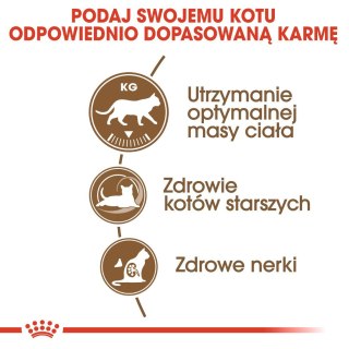 Karma Royal Canin FHN Ageing Steril (2 kg )