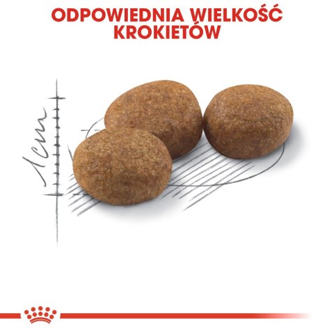 ROYAL CANIN FHN Sterilised - sucha karma dla kota dorosłego - 10kg