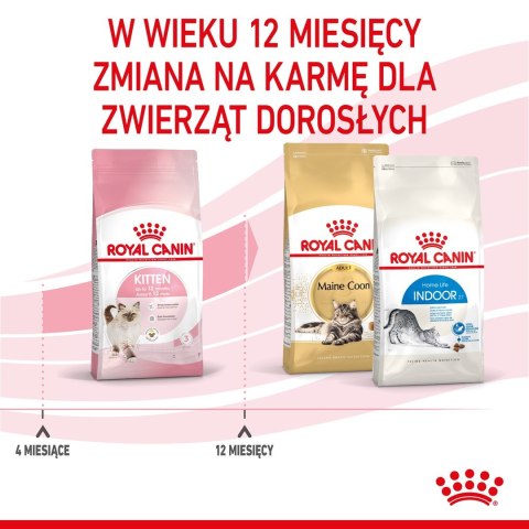 ROYAL CANIN Kitten 36 - sucha karma dla kota - 2 kg