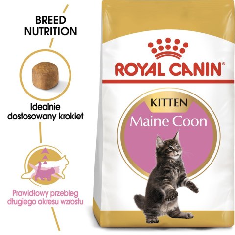 ROYAL CANIN FBN Maine Coon Kitten - sucha karma dla kociąt - 4kg