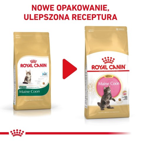 Royal Canin FBN Maine Coon Kitten - sucha karma dla kociąt - 10kg