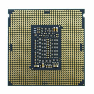 Procesor INTEL XEON E-2324G (3.1 GHz /8 MB /Socket LGA1200 )