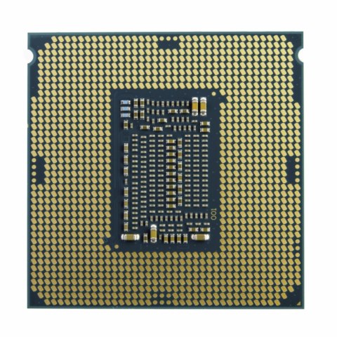 Procesor INTEL XEON E-2324G (3.1 GHz /8 MB /Socket LGA1200 )