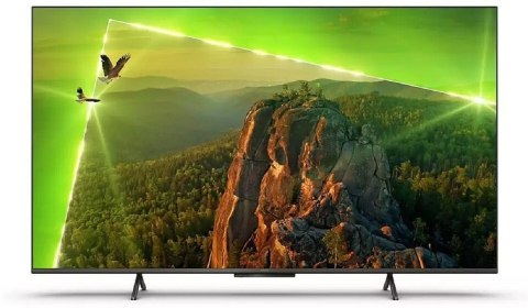 Telewizor PHILIPS 55″ LED 55PUS8118/12