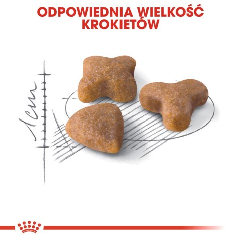 ROYAL CANIN FHN Sensible - sucha karma dla kota dorosłego - 10kg