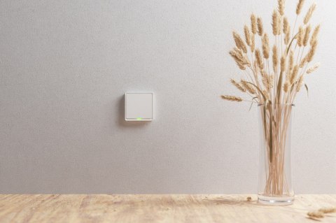 Włącznik pojedynczy TESLA TSL-SWI-ZIGBEE1 Smart Switch ZigBee