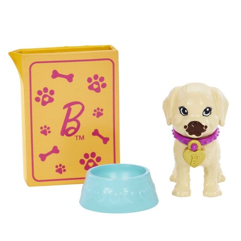 Barbie Adopcja piesków Zestaw + lalka HKD86