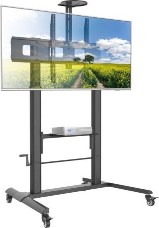 Uchwyt do TV TECHLY 364491 (nośność 120kg 52 - 110)