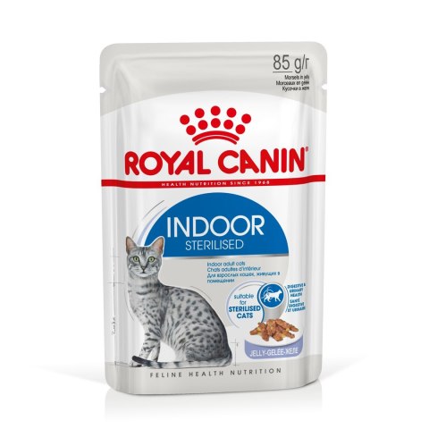 ROYAL CANIN FHN Indoor w galaretce - mokra karma dla kota dorosłego - 12x85 g