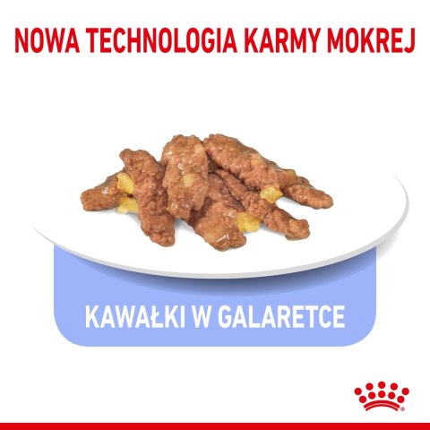 ROYAL CANIN FHN Indoor w galaretce - mokra karma dla kota dorosłego - 12x85 g