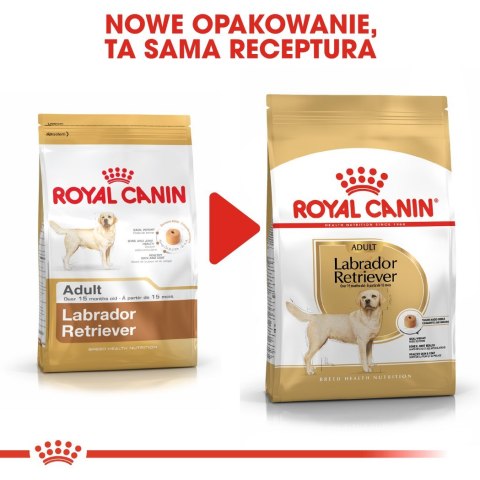 ROYAL CANIN BHN Labrador Retriever Adult - sucha karma dla psa dorosłego - 12 kg