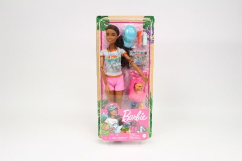 Barbie Fashionistas HNC39 lalka