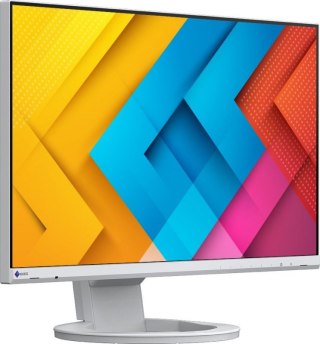 Monitor EIZO EV2490-WT (23.8" /IPS /60Hz /1920 x 1080 /Biały)