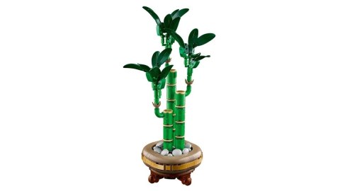 LEGO BOTANICALS 10344 Dracena sandera