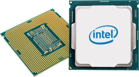 Procesor INTEL Intel Xeon E-2356G (3.2 GHz /12 MB /Socket FCLGA1200 )