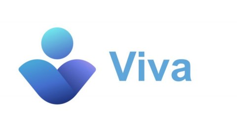 Viva Insights Capacity (Non-Profit Pricing) MICROSOFT CFQ7TTC0LHWF:000N CSP