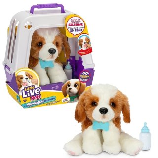 Maskotka interaktywna Little Live Pets - Piesek z transporterem