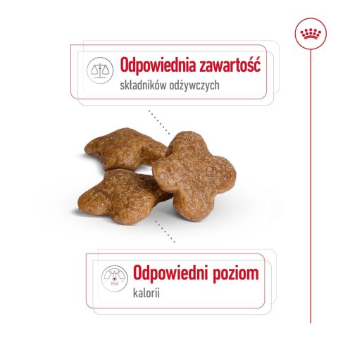 ROYAL CANIN Mini Mature - sucha karma dla psa - 800 g