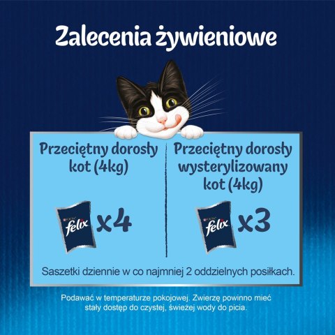 FELIX Fantastic Łosoś w galaretce + Gładzica w galaretce - saszetki dla kota - 4x85g