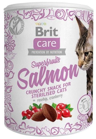 BRIT Care Superfruits Salmon - przysmak dla kota - 100 g