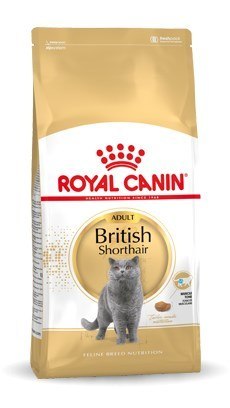 ROYAL CANIN FBN British Shorthair Adult - sucha karma dla kota dorosłego - 10kg