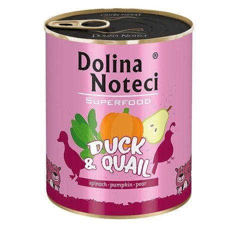 DOLINA NOTECI Premium Perfect Care Intestinal - mokra karma dla psów z problemami gastrycznymi - 400g