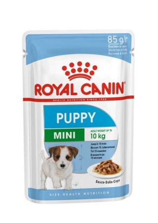 ROYAL CANIN SHN Mini Puppy w sosie - mokra karma dla szczeniąt - 12X85g