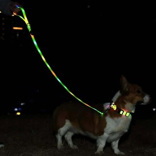 DOGGYVILLAGE SMYCZ Z KOLOROWĄ ILUMINACJĄ LED ZIELONA MT7121