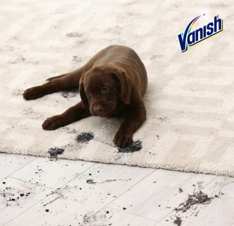 VANISH Pet Expert spray 500 ml