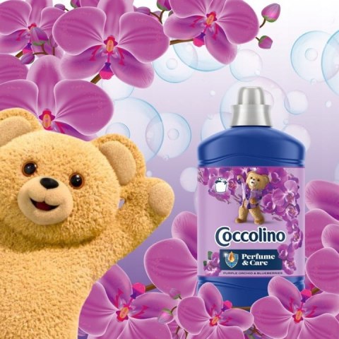 Coccolino Perfume&Care Purple Orchid & Blueberries 1600ml