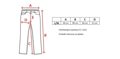 MORAJ - Legginsy Damskie Z Lampasami - Czarne - L/XL